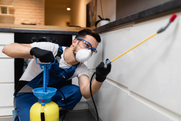 Best Residential Pest Control  in Waterloo, IA