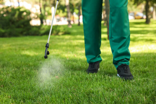 Best Pest Removal Services  in Waterloo, IA