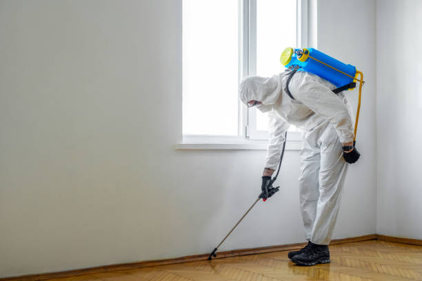 Best Pest Prevention Services  in Waterloo, IA