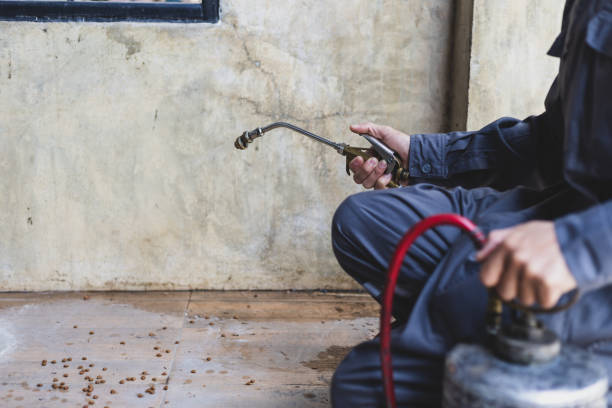 Best Best Pest Control Companies  in Waterloo, IA